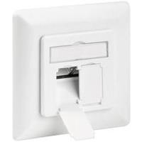 Pro CAT 6a wall plate flush mounting Wit - 2x RJ45 - Wit