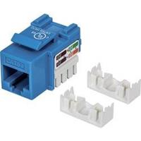 intellinet RJ45-Einbaumodul Keystone CAT 5e