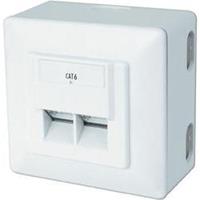 Digitus DN-9006/B5-N Netwerkdoos Opbouw (op muur) CAT 6 2 poorten Zuiver wit 5 stuk(s)