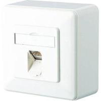 BTR NETCOM E-DATC6 8(8)APrws - RJ45 8(8) Data outlet Cat.6 white E-DATC6 8(8)APrws