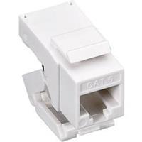 Wentronic Keystone - Cat6 - 