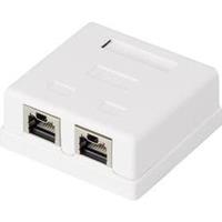 renkforce 2 Port Netzwerkdose Aufputz CAT 6 KSV-ND20 Weiß RF-4473855