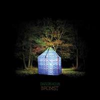 Carpark Bromst - Dan Deacon