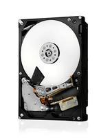 Western Digital Ultrastar DC HC570 - 22TB