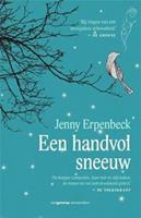 Een handvol sneeuw