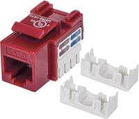 intellinet RJ45-Einbaumodul Keystone CAT 6