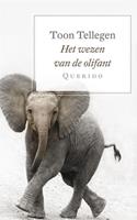Het wezen van de olifant - Toon Tellegen