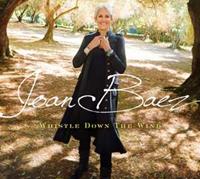 Joan Baez - Whistle Down The Wind (LP)