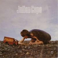 Virgin Fried - Julian Cope