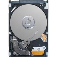 dell Interne Festplatte 8.9cm (3.5 Zoll) 2TB SATA III