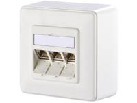 1309130002-E rws - RJ45 8(8) Data outlet 6A (IEC) white 1309130002-E rws