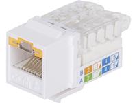 intellinet abschließbare Cat6 Modularbuchse UTP Keystone werkzeuglos weiß RJ45-Einbaumodul Keyston