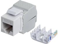 Intellinet 167062 RJ45-inbouwmodule Keystone CAT 5e, CAT 6