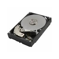 Toshiba Enterprise HDD 10000GB 3.5i SATA