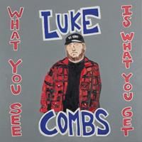 Columbia Nashville What You See Is What You Get - Luke Combs