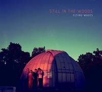 Inakustik Records Flying Waves - Still In The Woods