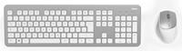 Hama Tastatur-Maus-Set KMW-700 QWERTZ Windows universell USB inkl. Empfänger silber/weiß