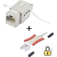 renkforce RJ45-Einbaumodul mit Verriegelungsfunktion / inkl. Entriegelungswerkzeug Keystone CAT 6a K