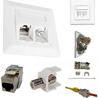 ESN 300 Netwerkdoos Inbouw (in muur) Inzet met centraalstuk en frame CAT 6A Zuiver wit (RAL 9010)