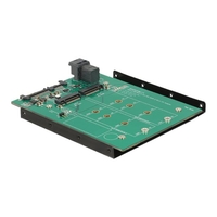 22-Polig SATA + 36-Polig SFF-8643 naar M.2 NGFF adapter - Delock