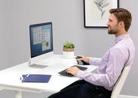 Fellowes Penguin Medium - vertical mouse - 2.4 GHz - Schwarz, Silber