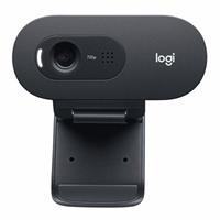 logitech Webcam C505E HD Business
