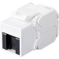 renkforce RJ45-Einbaumodul Keystone CAT 6a