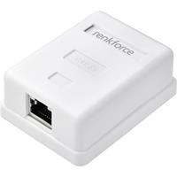 renkforce Netwerkadapter Opbouw (op muur) CAT 5e Wit