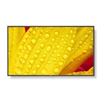 NEC MultiSync ME501 ME Series - 125.7 cm (50) LED-Display - 4K