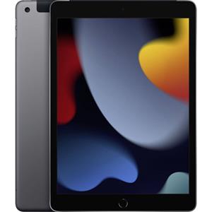 Apple iPad 10.2 Wi-Fi + Cellular 256GB (spacegrau) 9.Gen