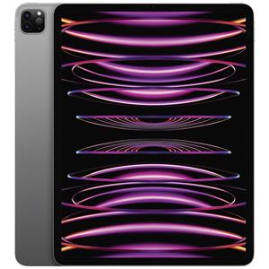 Apple iPad Pro 12.9 (6e generatie) WiFi 128 GB Spacegrijs iPad 32.8 cm (12.9 inch)  M2 iPadOS 16 2732 x 2048 Pixel