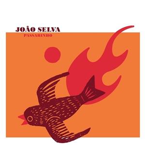Various Passarinho - Joao Selva