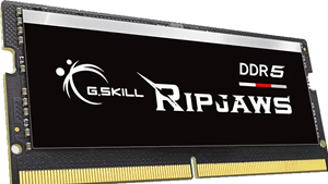 GSKILL G.Skill Ripjaws F5-4800S4039A32GX1-RS - Geheugen