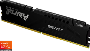 Kingston FURY Beast Schwarz 8GB DDR5-5200 EXPO CL36 DIMM Arbeitsspeicher