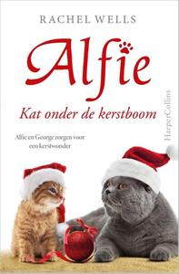 Rachel Wells Kat onder de kerstboom -   (ISBN: 9789402711257)