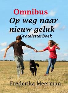 Frederika Meerman Op weg naar nieuw geluk -   (ISBN: 9789462602281)