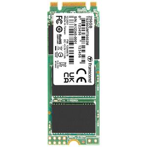 Transcend MTS602M 256 GB SATA M.2 SSD 2260 harde schijf SATA III Retail TS256GMTS602M