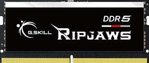 GSKILL G.Skill Ripjaws F5-5600S4645A16GX1-RS - Geheugen