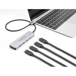 DeLOCK 64231 usb-hub 4x USB-C 3.2 (10 Gbit/s)