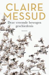 Claire Messud Deze vreemde bewogen geschiedenis -   (ISBN: 9789026366185)