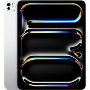 Apple iPad Pro 13" (256GB) WiFi + 5G silber