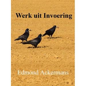 Edmond Ackermans Werk uit invoering -   (ISBN: 9789403781310)