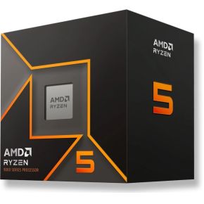 AMD Processor  Ryzen 5 9600