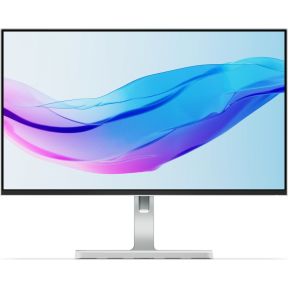 Lenovo L24m-4A (67BDUAC6EU) Monitor