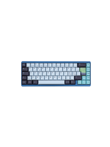 Varmilo Muse65 Hall Effect 65% RGB LED Type - Aurora - Gaming Toetsenbord - Zonder Numpad - Noords - Zwart