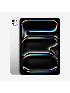 Apple iPad Pro 11 (2024) 256GB with Standard Glass - Silver