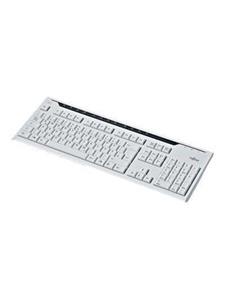 Fujitsu KB520 - Toetsenbord - Grijs