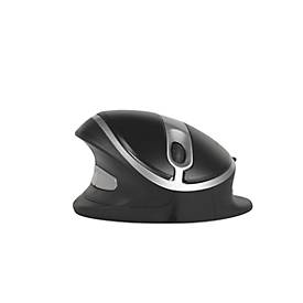 BakkerElkhuizen Oyster Mouse Wireless, draadloos, 5 kantelhoeken, 5 knoppen