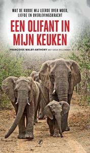Francoise Malby -Anthony Een olifant in mijn keuken -   (ISBN: 9789089752710)