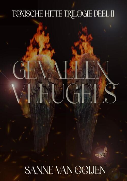 Sanne van Ooijen Gevallen vleugels -   (ISBN: 9789083492278)